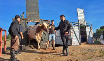 Fenasul Expoleite é aberta oficialmente com expectativa de crescimento