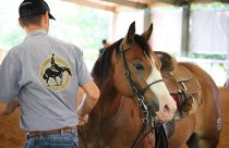 Haras Sacramento - prova de redeas