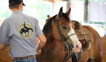 Haras Sacramento - prova de redeas