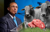 Nabih Amin El Aouar - presidente da Nelore no Brasil