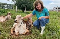 No dia do Zootecnista, pesquisadores e extensionista da Secretaria de Agricultura destacam a relevância da profissão para o Agro