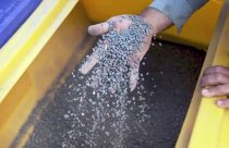 Produtor colhe 18 sacas a mais de soja por hectare com biotecnologia
