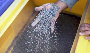 Produtor colhe 18 sacas a mais de soja por hectare com biotecnologia