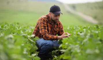 Trabalhador no campo