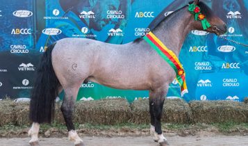 Zamora Ferro e Fogo - Crédito João Morais Divulgação