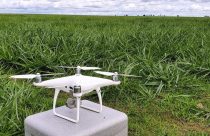 Drones têm 66% de precisão em monitoramento de pastos, diz Embrapa