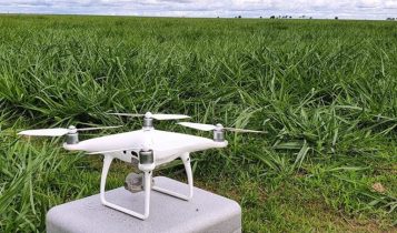 Drones têm 66% de precisão em monitoramento de pastos, diz Embrapa