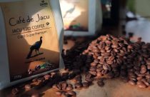 Café especial custa mais de R$ 1.000 e é feito com fezes de animal