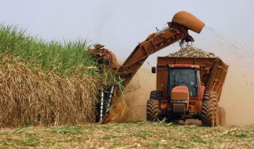 Lucro da Copersucar cai 58,6% em 2023/24 com queda de preços de açúcar e etanol - renovabio - CBios