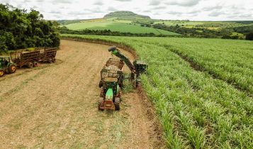 Fazenda de Cana de açúcar