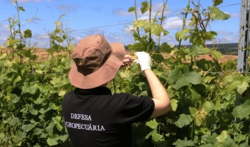 deriva_credito-Luciane-Rubim-SEAPDR