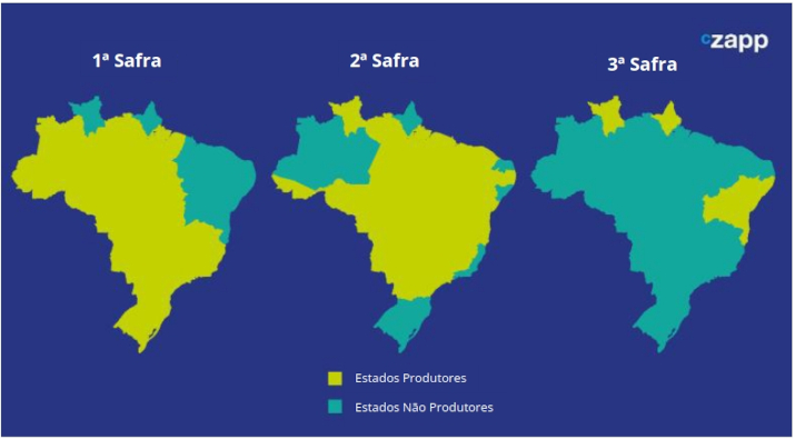 estados produtores de milho