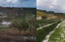 granizo em cafezais no sul de minas