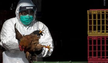 EUA registram primeiro caso grave de gripe aviária H5N1 em humano