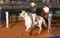 Conheça quem é o Super Horse do Quarto de Milha no Brasil
