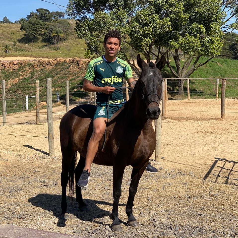 jogador marcos rocha - mangalarga marchador