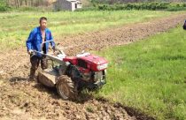 trator chines -agricultura familiar 2