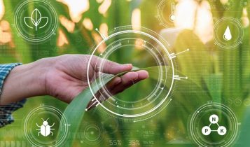 Varda chega ao Brasil