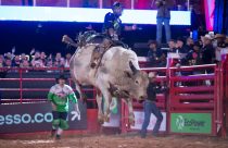 De 17 a 20 de agosto, Barretos sedia a final do campeonato de montarias em touros da PBR Brazil