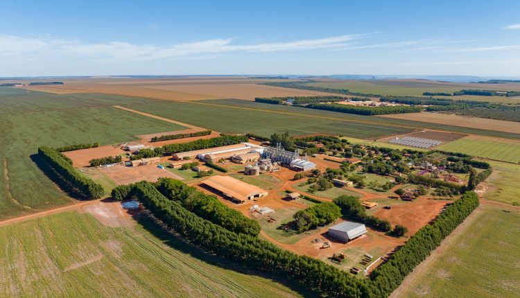 Fazenda Girassol, na Serra da Petrovina, em Mato Grosso