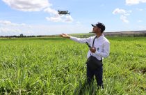 Intensificação da pecuária depende de tecnologia aliada à gestão pessoas - drone