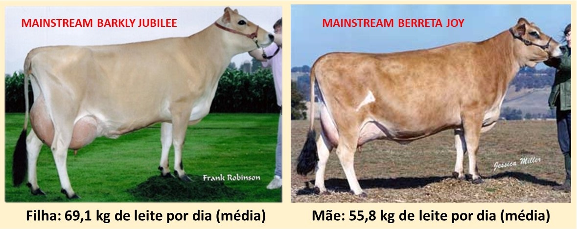 Mainstream Barkly Jubilee VG-87 World Record Holder for Milk e Joy