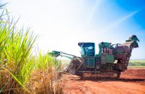 Raízen economiza R$ 58 milhões com IA em colheitadeiras