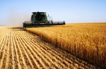 Com agro mais fraco, prévia do PIB cai 2%