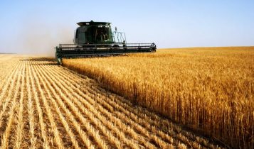 Fávaro destaca trabalho do Mapa em apoio ao agro brasileiro na abertura do Show Safra