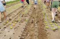 Vídeo: Ativistas ambientais vandalizam fazenda e causam prejuízo