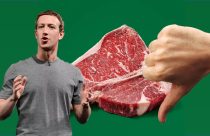 agenda - anti-carne do facebook