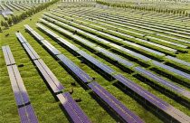 Parques solares  na Nova Zelândia: energia sustentável em ascensão