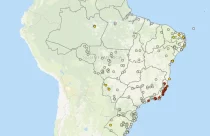 focos-Influenza-Aviária-Brasil