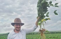 No bilionário grupo Scheffer, uma “nova agricultura” ganha força