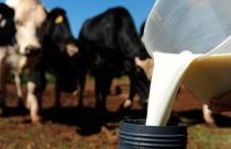 CE: governador anuncia isenção do ICMS para cadeia do leite