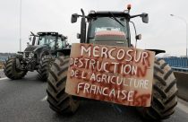 Mercosul-UE: Lula quer acordo, mas agricultores franceses são contra