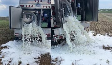 Vídeo: Laticínio obriga produtor a jogar 31.700 litros de leite no pasto