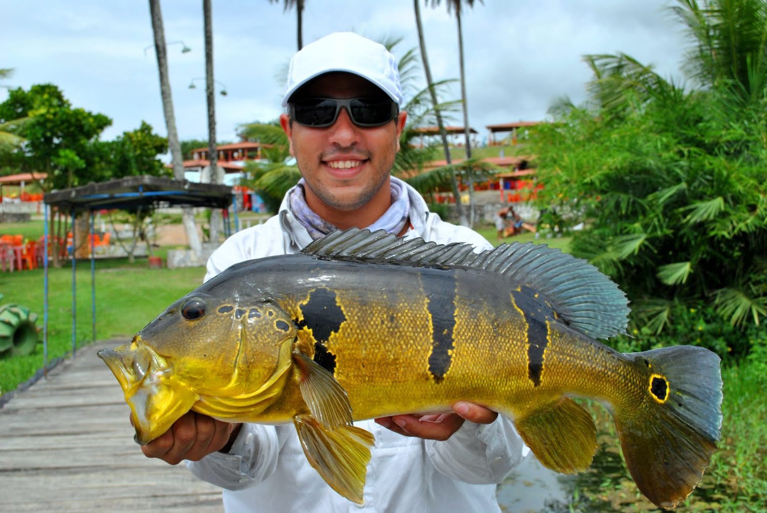 peixe fisgado tucunare