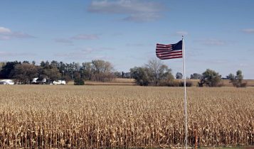 Desafios na safra americana: seca persistente afeta milho, soja, aveia e trigo