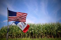 Lavoura de milho em Grand Mound, Iowa (EUA)