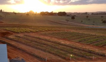 Empresa firma parceria com a Embrapa para aumentar a produtividade da soja