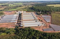 Produzindo 1 milhão de ovos/dia, ele investe em solução híbrida