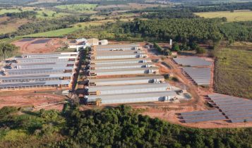 Produzindo 1 milhão de ovos/dia, ele investe em solução híbrida