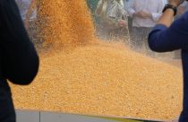 Guerra na Ucrânia milho