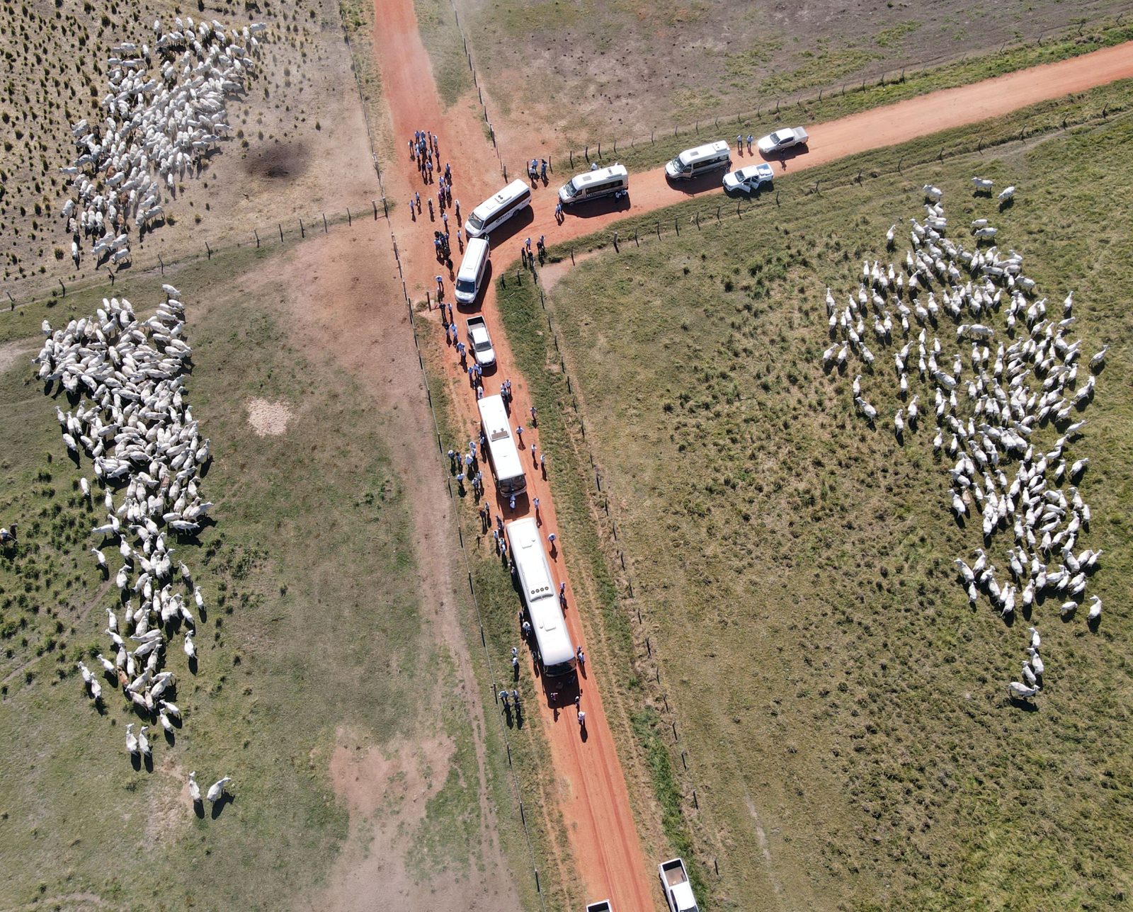 A carne possível: fazendeiro mostra como pecuária pode regenerar o Cerrado  - 18/03/2021 - UOL ECOA