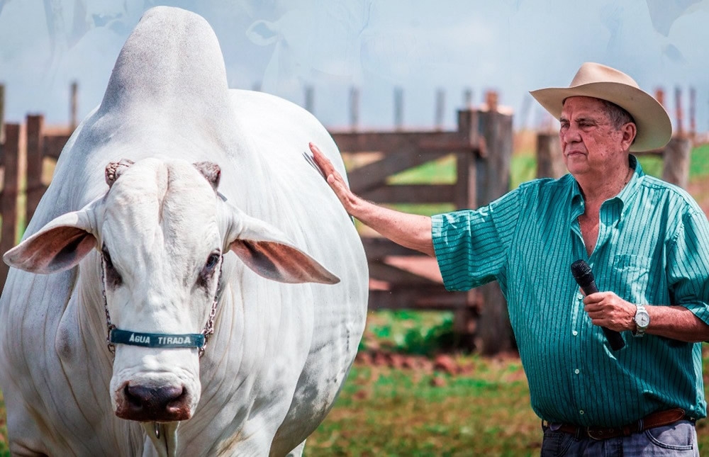 Bingar é fruto do trabalho da Água Tirada, de Seu Arthêmio Olegário de Souza