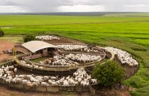 Cadeia de fornecimento de gado da Bom Futuro é rastreada
