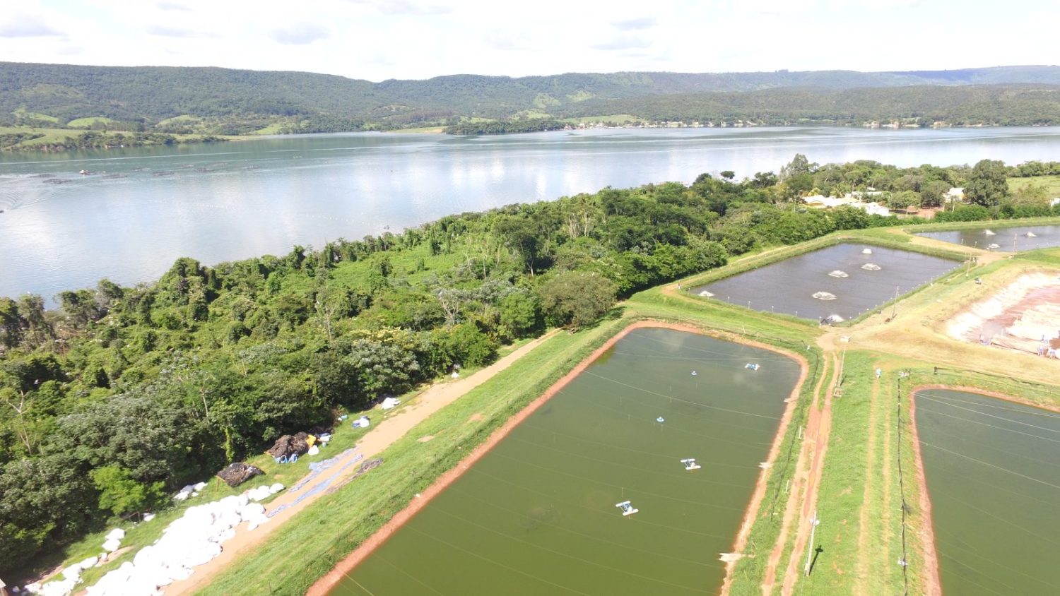 FIDER-Fider-Pescados-cria-area-de-preservacao-de-especies-animais-em-extincao-em-Rifaina-SP-Foto-Divulgacao