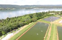 FIDER-Fider-Pescados-cria-area-de-preservacao-de-especies-animais-em-extincao-em-Rifaina-SP-Foto-Divulgacao