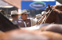 Mangalarga marchador - a importância da dieta certa para provas de longa duração
